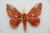  ( - BC-RBP 6016)  @13 [ ] Copyright (2010) Ron Brechlin Research Collection of Ron Brechlin