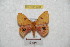  ( - BC-RBP 6085)  @13 [ ] Copyright (2010) Ron Brechlin Research Collection of Ron Brechlin
