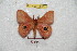  ( - BC-RBP 6096)  @13 [ ] Copyright (2010) Ron Brechlin Research Collection of Ron Brechlin
