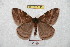  ( - BC-RBP 6149)  @14 [ ] Copyright (2010) Ron Brechlin Research Collection of Ron Brechlin