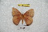  ( - BC-RBP 6158)  @13 [ ] Copyright (2010) Ron Brechlin Research Collection of Ron Brechlin