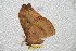  ( - BC-RBP 6285)  @11 [ ] Unspecified (default): All Rights Reserved  Ron Brechlin Unspecified