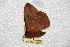  ( - BC-RBP 6288)  @12 [ ] Unspecified (default): All Rights Reserved  Ron Brechlin Unspecified