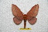  ( - BC-RBP 6328)  @14 [ ] Unspecified (default): All Rights Reserved  Ron Brechlin Unspecified