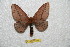 ( - BC-RBP 6329)  @14 [ ] Unspecified (default): All Rights Reserved  Ron Brechlin Unspecified