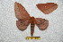  ( - BC-RBP 6331)  @13 [ ] Unspecified (default): All Rights Reserved  Ron Brechlin Unspecified