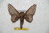  ( - BC-RBP 6335)  @13 [ ] Unspecified (default): All Rights Reserved  Ron Brechlin Unspecified