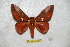  ( - BC-RBP 6337)  @11 [ ] Unspecified (default): All Rights Reserved  Ron Brechlin Unspecified