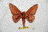  ( - BC-RBP 6338)  @13 [ ] Unspecified (default): All Rights Reserved  Ron Brechlin Unspecified