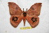  ( - BC-RBP 6359)  @14 [ ] Unspecified (default): All Rights Reserved  Ron Brechlin Unspecified