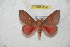  ( - BC-RBP 6396)  @13 [ ] Copyright (2012) Ron Brechlin Research Collection of Ron Brechlin