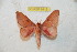  ( - BC-RBP 6412)  @13 [ ] Copyright (2012) Ron Brechlin Research Collection of Ron Brechlin
