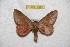  ( - BC-RBP 6459)  @13 [ ] Copyright (2012) Ron Brechlin Research Collection of Ron Brechlin
