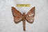  ( - BC-RBP 6471)  @13 [ ] Copyright (2012) Ron Brechlin Research Collection of Ron Brechlin