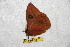  ( - BC-RBP 6573)  @12 [ ] Copyright (2012) Ron Brechlin Research Collection of Ron Brechlin