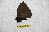  ( - BC-RBP 6586)  @12 [ ] Copyright (2012) Ron Brechlin Research Collection of Ron Brechlin