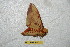 ( - BC-RBP 6632)  @12 [ ] Copyright (2012) Ron Brechlin Research Collection of Ron Brechlin