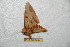  ( - BC-RBP 6634)  @12 [ ] Copyright (2012) Ron Brechlin Research Collection of Ron Brechlin