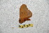  ( - BC-RBP 6640)  @12 [ ] Copyright (2012) Ron Brechlin Research Collection of Ron Brechlin