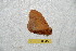  ( - BC-RBP 6645)  @12 [ ] Copyright (2012) Ron Brechlin Research Collection of Ron Brechlin