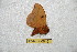  ( - BC-RBP 6646)  @12 [ ] Copyright (2012) Ron Brechlin Research Collection of Ron Brechlin