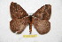  ( - BC-RBP 6651)  @13 [ ] Copyright (2012) Ron Brechlin Research Collection of Ron Brechlin