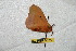  ( - BC-RBP 6675)  @12 [ ] Copyright (2012) Ron Brechlin Research Collection of Ron Brechlin