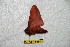  ( - BC-RBP 6680)  @12 [ ] Copyright (2012) Ron Brechlin Research Collection of Ron Brechlin
