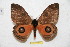 ( - BC-RBP 6691)  @13 [ ] Copyright (2012) Ron Brechlin Research Collection of Ron Brechlin