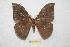  ( - BC-RBP 6692)  @14 [ ] Copyright (2012) Ron Brechlin Research Collection of Ron Brechlin