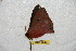  ( - BC-RBP 6702)  @12 [ ] Copyright (2012) Ron Brechlin Research Collection of Ron Brechlin