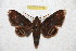  ( - BC-RBP 6759)  @13 [ ] Copyright (2012) Ron Brechlin Research Collection of Ron Brechlin
