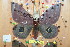 ( - BC-RBP 6797)  @12 [ ] Unspecified (default): All Rights Reserved  Unspecified Unspecified