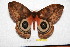  ( - BC-RBP 6815)  @11 [ ] Unspecified (default): All Rights Reserved  Unspecified Unspecified