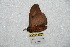  ( - BC-RBP 6833)  @12 [ ] Unspecified (default): All Rights Reserved  Unspecified Unspecified