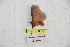  ( - BC-RBP 6854)  @12 [ ] Unspecified (default): All Rights Reserved  Unspecified Unspecified