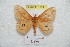  ( - BC-RBP 6951)  @12 [ ] Copyright (2012) Ron Brechlin Research Collection of Ron Brechlin