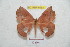  ( - BC-RBP 6952)  @12 [ ] Copyright (2012) Ron Brechlin Research Collection of Ron Brechlin
