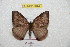 ( - BC-RBP 7044)  @12 [ ] Copyright (2012) Ron Brechlin Research Collection of Ron Brechlin