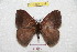  ( - BC-RBP 7049)  @14 [ ] Copyright (2012) Ron Brechlin Research Collection of Ron Brechlin