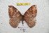  ( - BC-RBP 7054)  @13 [ ] Copyright (2012) Ron Brechlin Research Collection of Ron Brechlin