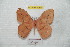  ( - BC-RBP 7060)  @14 [ ] Copyright (2012) Ron Brechlin Research Collection of Ron Brechlin