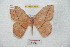  ( - BC-RBP 7063)  @13 [ ] Copyright (2012) Ron Brechlin Research Collection of Ron Brechlin