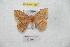  ( - BC-RBP 7069)  @11 [ ] Copyright (2012) Ron Brechlin Research Collection of Ron Brechlin