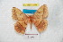  ( - BC-RBP 7078)  @14 [ ] Copyright (2012) Ron Brechlin Research Collection of Ron Brechlin