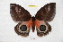  ( - BC-RBP 7090)  @14 [ ] Copyright (2012) Ron Brechlin Research Collection of Ron Brechlin