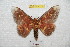  ( - BC-RBP 7113)  @13 [ ] Copyright (2012) Ron Brechlin Research Collection of Ron Brechlin