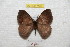  ( - BC-RBP 7130)  @13 [ ] Copyright (2012) Ron Brechlin Research Collection of Ron Brechlin