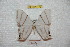  ( - BC-RBP 7179)  @13 [ ] Copyright (2012) Ron Brechlin Research Collection of Ron Brechlin