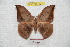  ( - BC-RBP 7224)  @12 [ ] Copyright (2012) Ron Brechlin Research Collection of Ron Brechlin